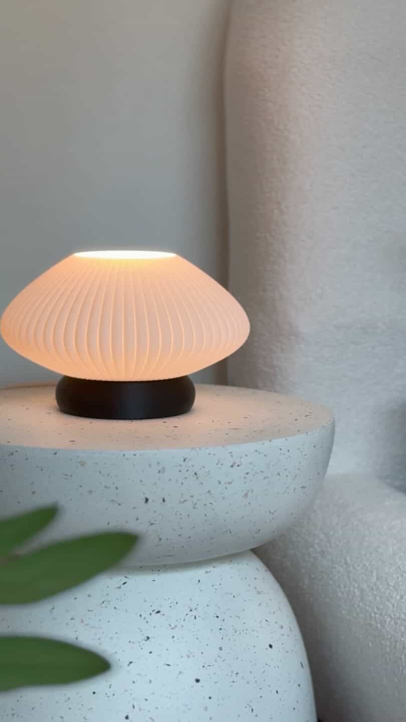 Cover Image for “Revolutionizing Lighting: Sustainable and Versatile Lily Lamp Design”