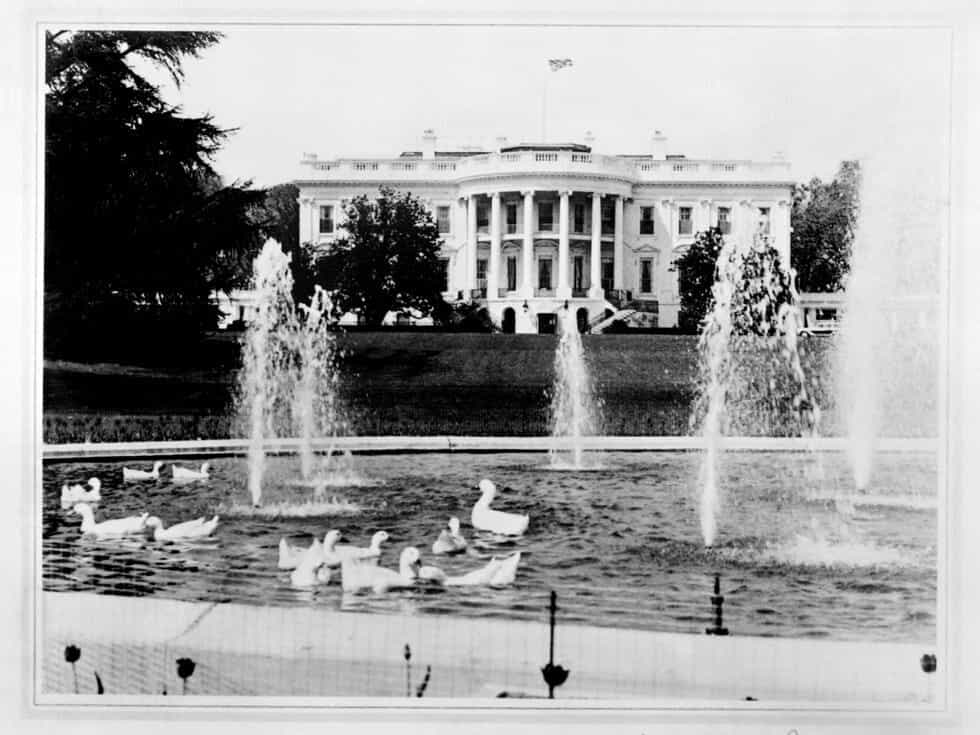 Cover Image for White House Interiors: A Design Evolution